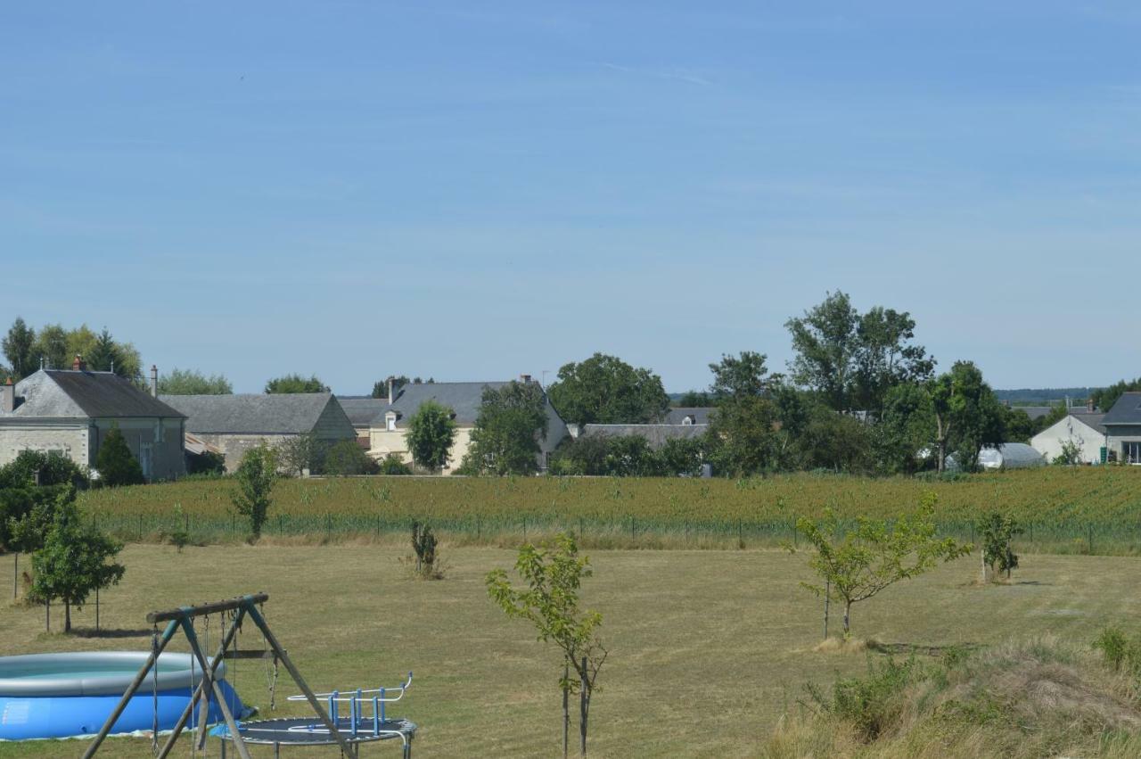 Gite Dans Le Vignoble De Bourgueil Le Port Boulet Экстерьер фото