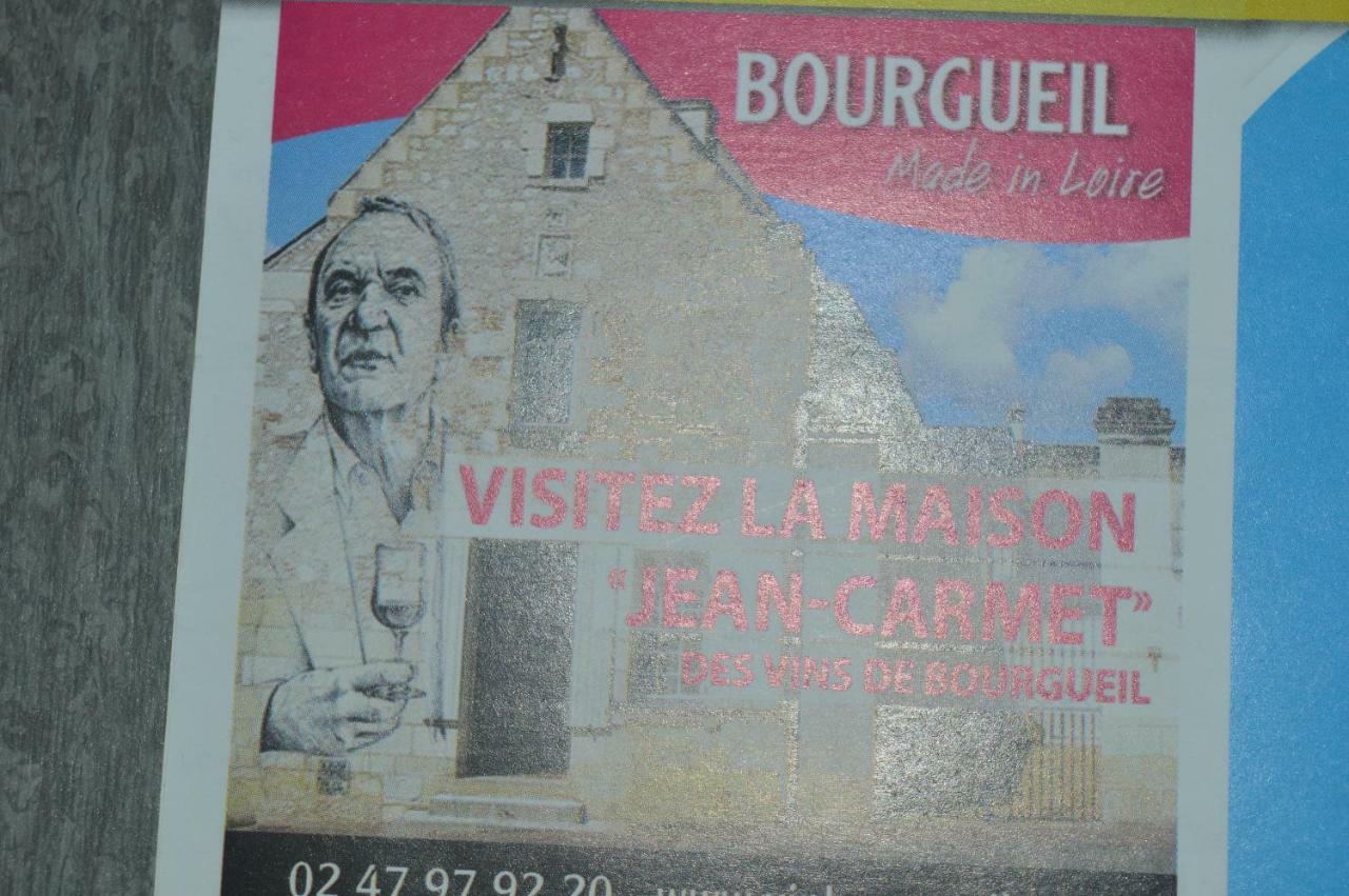 Gite Dans Le Vignoble De Bourgueil Le Port Boulet Экстерьер фото