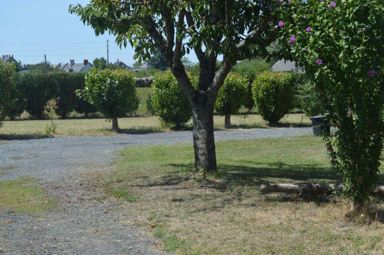 Gite Dans Le Vignoble De Bourgueil Le Port Boulet Экстерьер фото